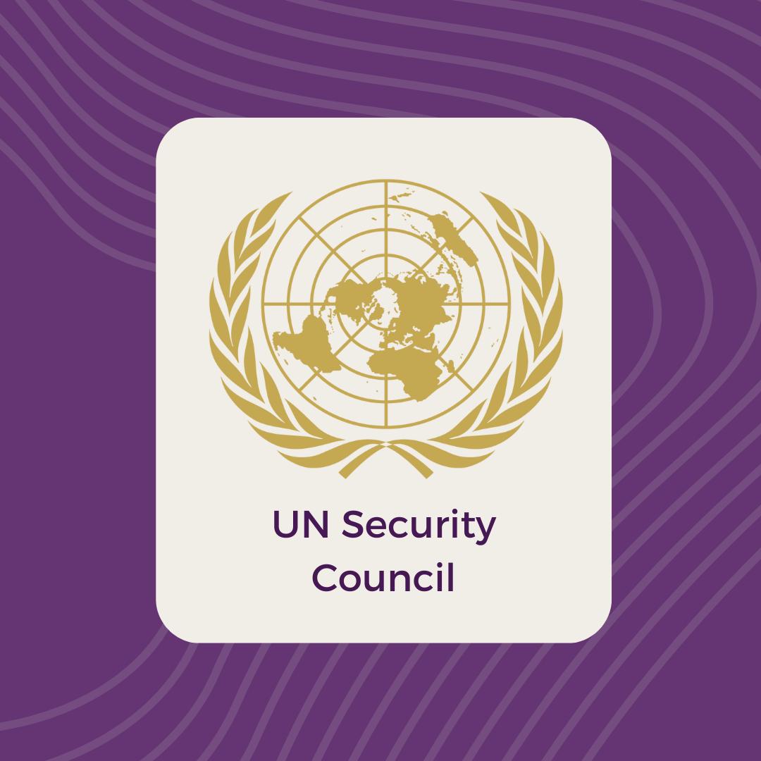 UN Security Council